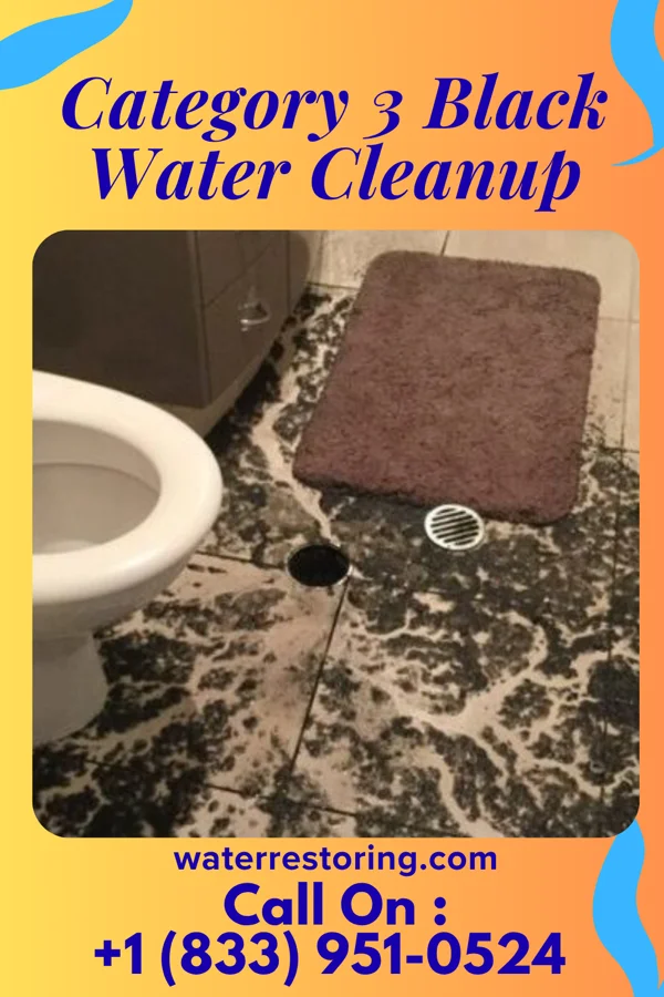 Category 3 Black Water Cleanup in Mars, PA