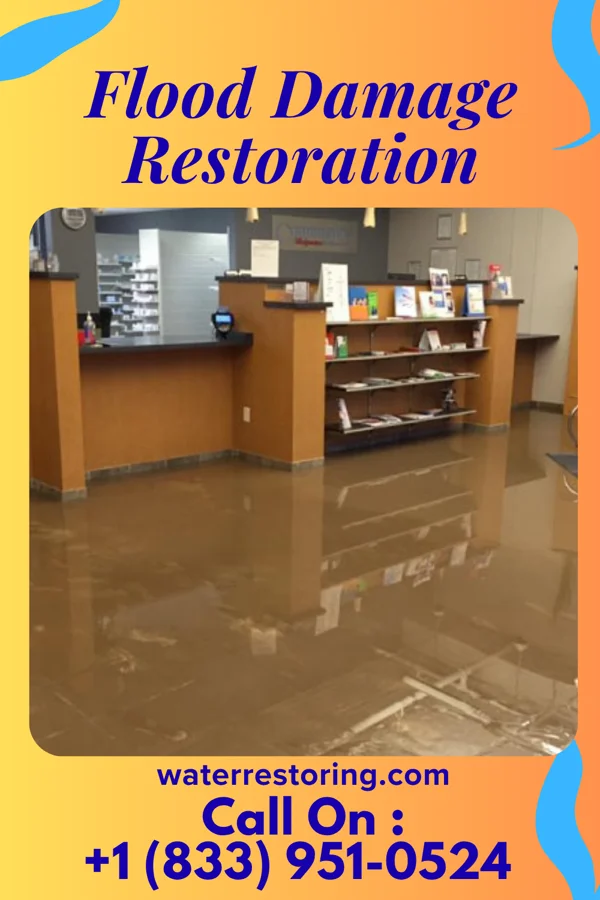 Flood Damage Restoration in Mars, PA