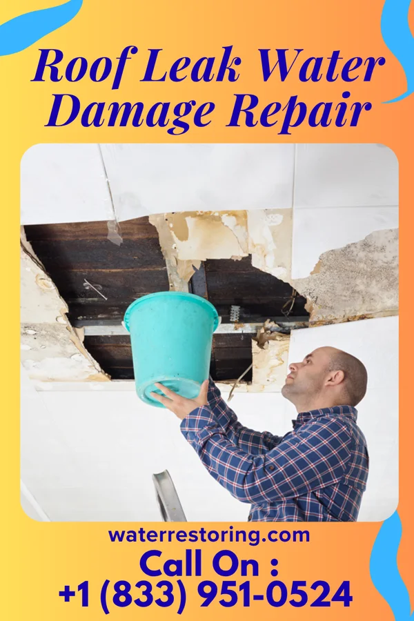 Roof Leak Water Damage Repair in Mars, PA