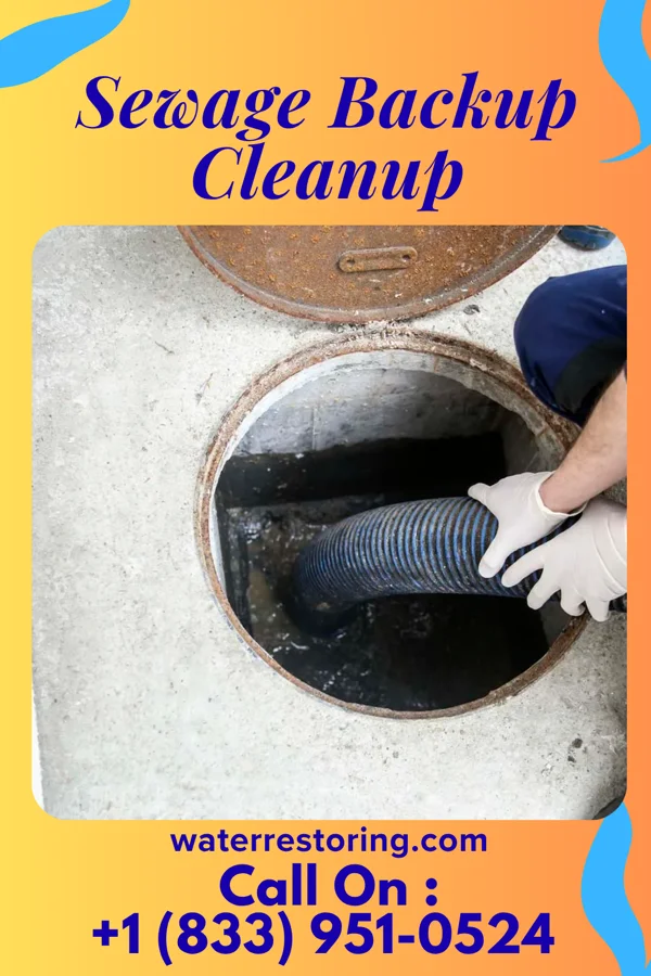 Sewage Backup Cleanup in Mars, PA